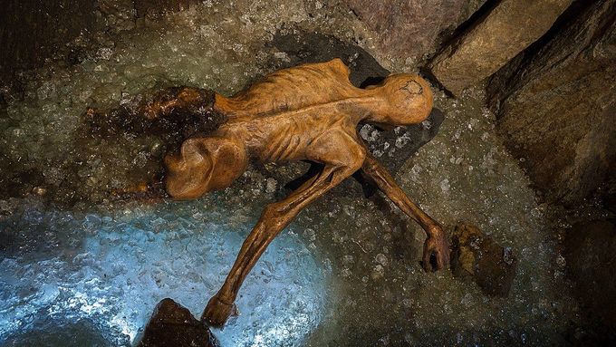 Rekonstrukce nálezu Ötziho.