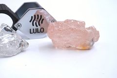 V Angole našli růžový diamant, váží 170 karátů. Je největší svého druhu za stovky let