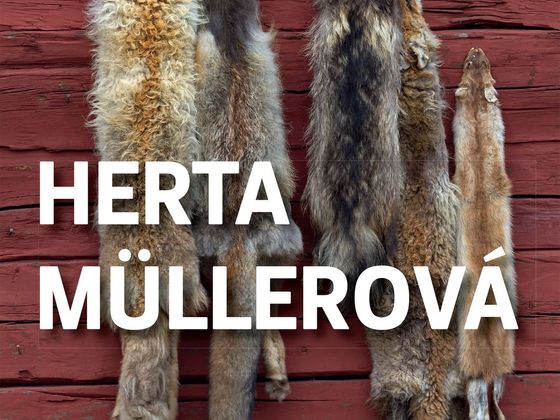 Herta Müllerová: Liška lovec Herta Müllerová: Liška lovec