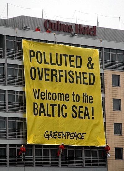 Transparent Greenpeace