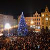 Vánoční stromy - Liberec