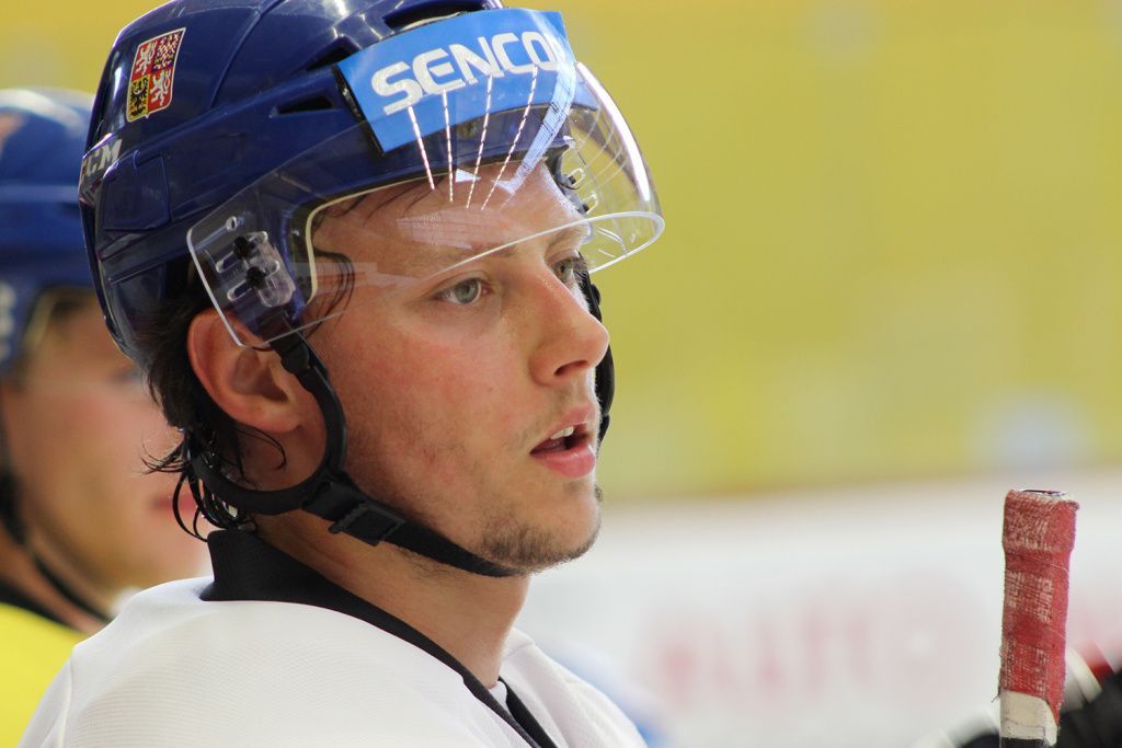 Tréninkový kemp hokejové reprezentace 2015