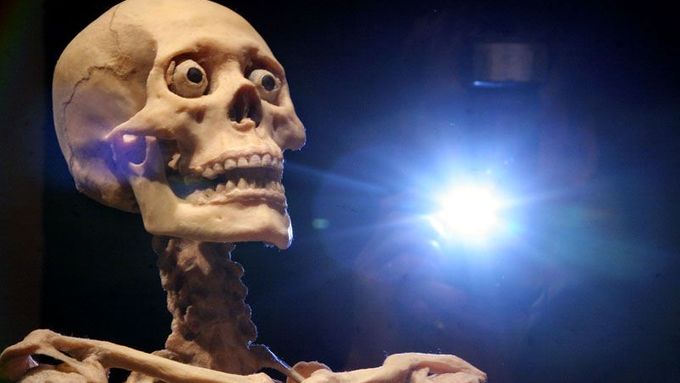 Výstavy mrtvých lidských těl vzbuzují už řadu let kontroverzi.