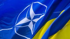 NATO / Vlajka / Ukrajina / Ilustrační snímek / Shutterstock