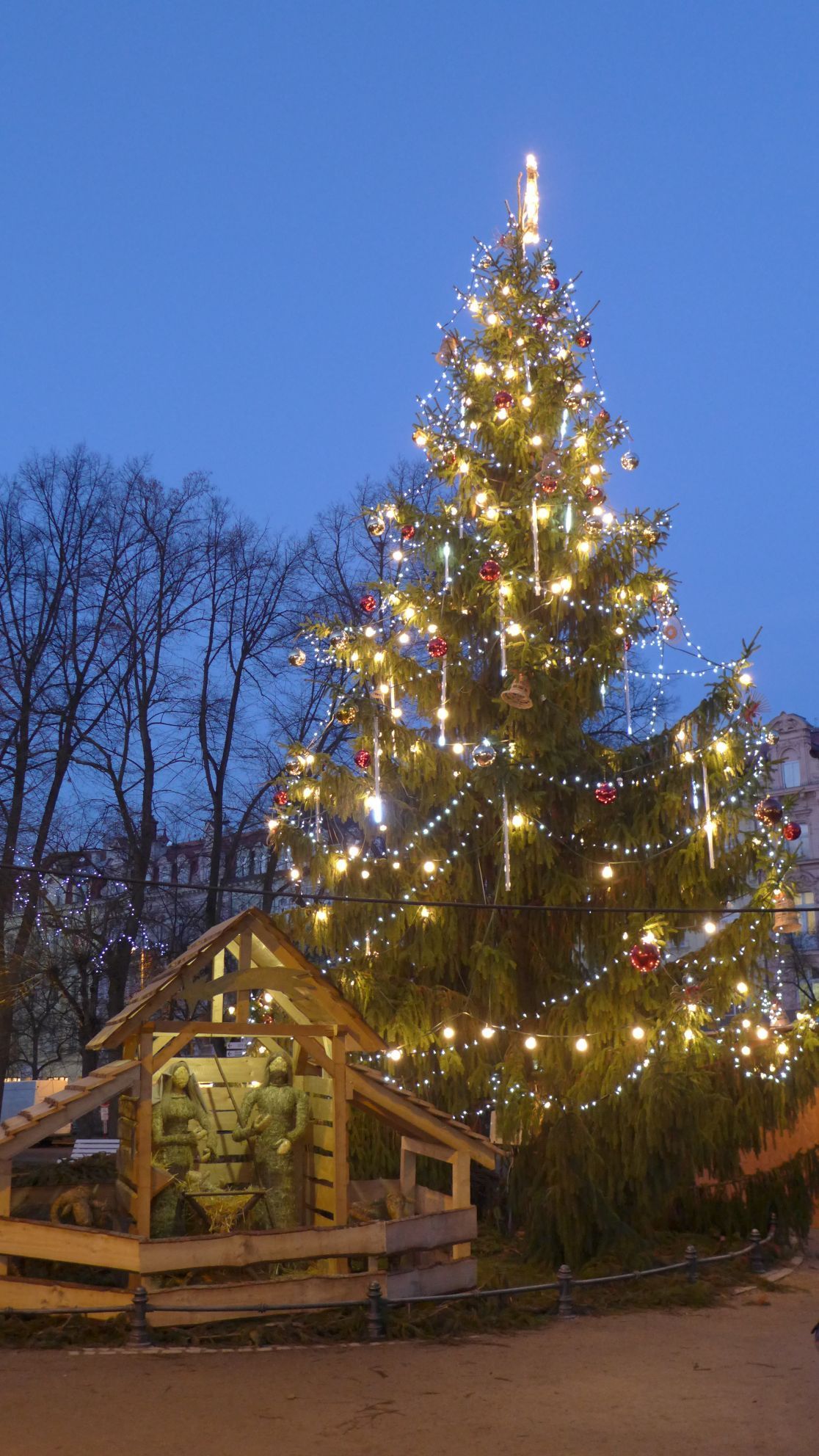 Vánoční stromy - Karlovy Vary