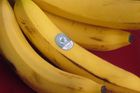 Vzniká největší dodavatel banánů na světě, komise souhlasí