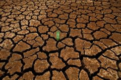 Škody na plodinách kvůli suchu jsou až 7,7 miliardy. Jurečka se pokusí vyjednat u Pilného kompenzace