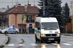 Trest za chybu při zásahu v Brodě: Policistovi sníží plat