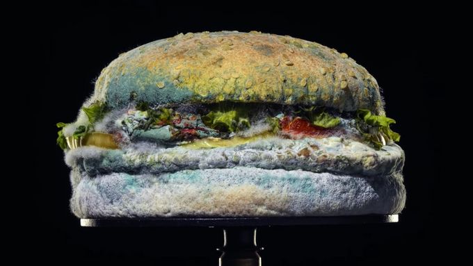 Plesnivění burgeru je důkazem absence umělých barviv, chlubí se Burger King