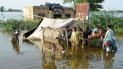 Povodně, Pákistán, srpen, 2022