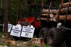 Polští ekologové brojí proti kácení vzácného pralesa. Chceme přírodní les, ne dubovou farmu, volají