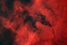 James Baguley: Temný vlk - Fenrir. Tento snímek ukazuje tmavý, hustý molekulární oblak v podobě vlka, známý jako mlhovina Vlk nebo mlhovina Fenrir. Druhé místo v kategorii Hvězdy a mlhoviny.