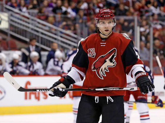 Radim Vrbata Radim Vrbata (Arizona) v sezoně 2016-17