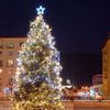 Vánoční stromy - Blansko