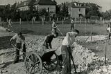 Práce při zakládání zahrádkové osady na Skalce, 1959, soukromý archiv.