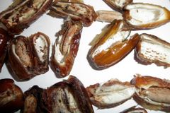 Mrtvé brouky v datlích a škůdce u ořechů našla SZPI