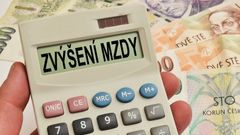 Jsme levnější než jiní Evropané? Česko platí daň za rozvinutý průmysl, tvrdí nová studie