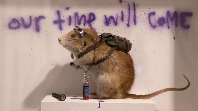 Banksyho čas už přišel. Krysa, kterou propašoval v roce 2004 do londýnského muzea, jej teprve ohlašovala.