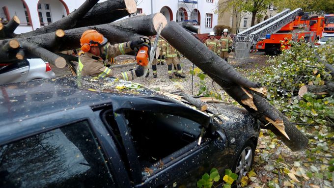 Hasiči odstraňují v Berlíně stromy popadané na auta.