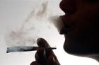 Češi jsou králi marihuany, kouřila ji třetina mladých
