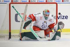 Will vychytal v brance Čeljabinsku první nulu v KHL, Jaškin vstřelil gól hlavou