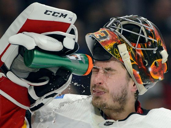 Před a po zranění David Rittich v NHL 2019