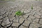 Sucha budou běžná, musíme se připravit, varují odborníci