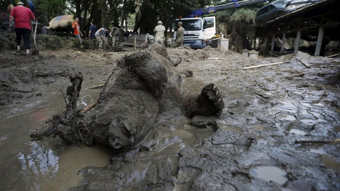 Záplavy zničily zoo v Tbilisi. Utonulo kolem tří set zvířat.