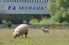 Byla to chlouba průmyslu, nyní na Moravan čeká bankrot