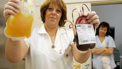 Odběry krve v Thomayerově nemocnici v Krči