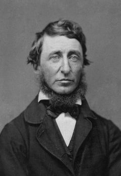 Henry David Thoreau na daguerrotypii z roku 1856.