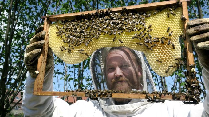 Medovina Jiřího Batoše boduje i v USA. Má i vlastní včely