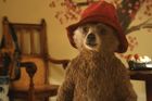 Recenze: Medvědí přistěhovalec se touží stát vánoční klasikou
