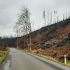 České Švýcarsko, požár, listopad 2022
