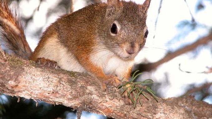 Ví, kolik potravy bude mít za půl roku.