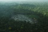 Palmový olej může především za masivní kácení deštných pralesů, což vede také k likvidaci flóry a fauny. V oblasti vypálených pralesů pak vznikají nové prostory pro plantáže na pěstování palem. Tato fotografie ukazuje ničení pralesů v Amazonii na severovýchodě Brazílie.
