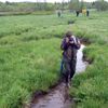 Revitalizace potoků na Šumavě