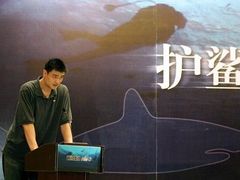 Čínská basketbalová hvězda Jao Ming bojuje za záchranu žraloků v Číně. Právě Čína představuje pro žraloky největší hrozby. Jsou loveni kvůli tradiční polévce z ploutví