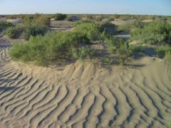Dno Aralského jezera. Tady všude bývala voda.