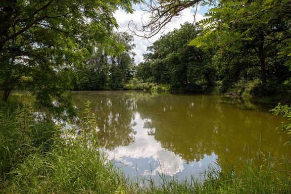 Chystaná Chráněná krajinná oblast (CHKO) Soutok u soutoku Moravy a Dyje na Břeclavsku a zámku Lednice.