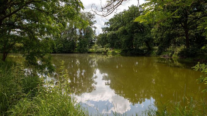 Chystaná Chráněná krajinná oblast (CHKO) Soutok u soutoku Moravy a Dyje na Břeclavsku a zámku Lednice.