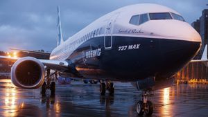 Problém Boeingu 737 MAX 8