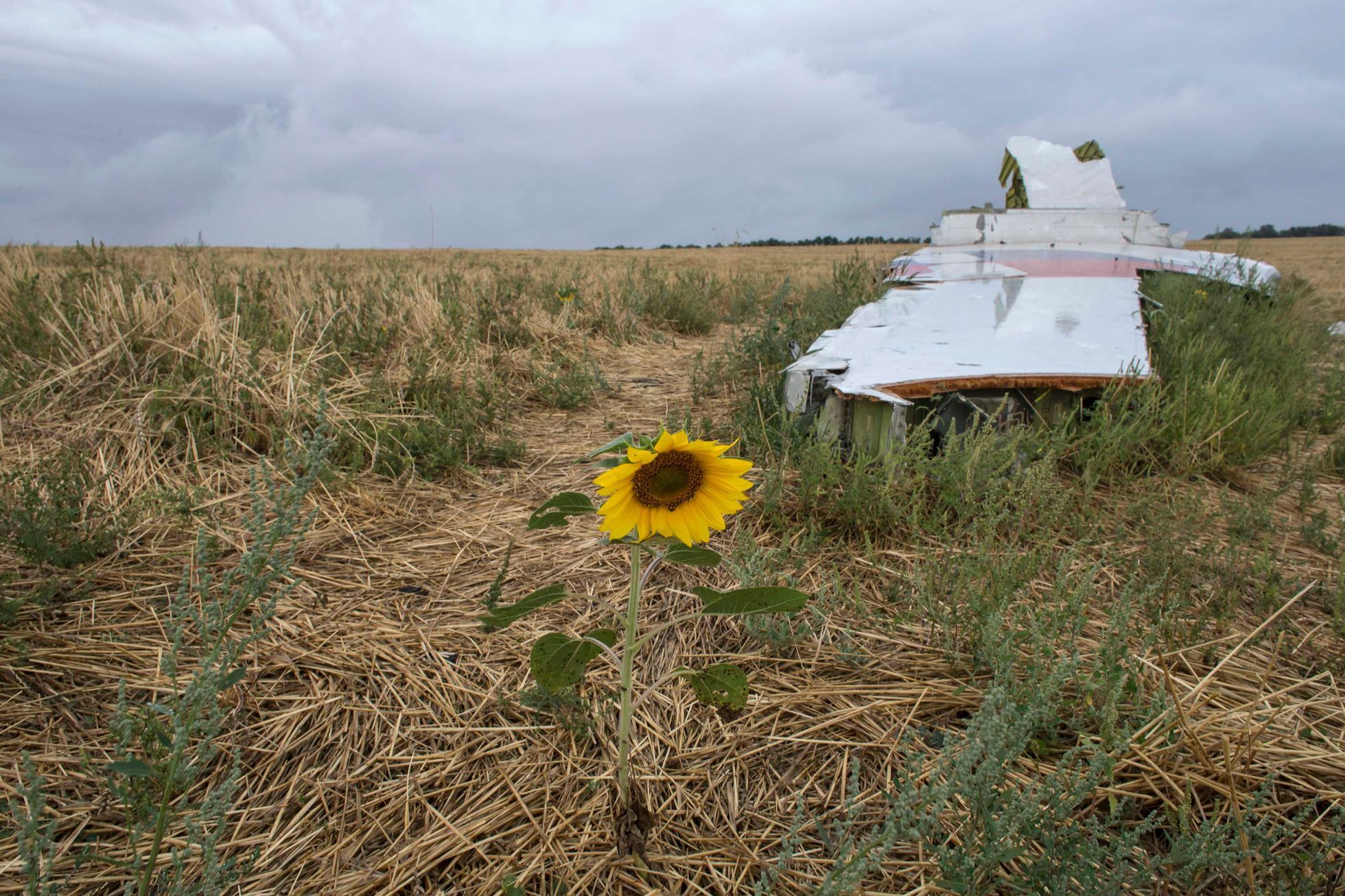 Ukrajina - MH17