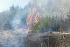 U Vyškova hořel les a pole, na místě bylo 11 jednotek hasičů