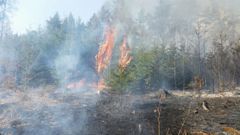 Hasiči likvidují požár na Červeném vrchu v Děčíně