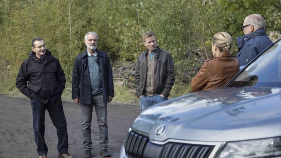 Docent, seriál, 3. řada