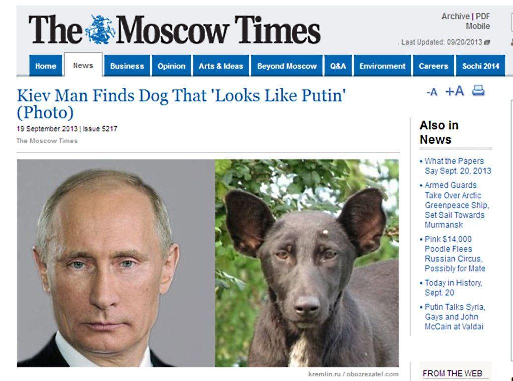 Putin - pes