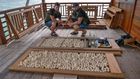 Skupina Wildlife Guards (vlevo Michal Gálik, vpravo Tomáš Ouhel) se zabavenýma želvíma vajíčkama a trhavinou.