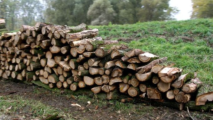 Ceny dřeva postupně rostly