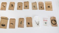 Keltské hradiště, Hradec Králové